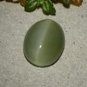 Actinolite cat's eye verde natural 5,33ct, corte oval, translúcido