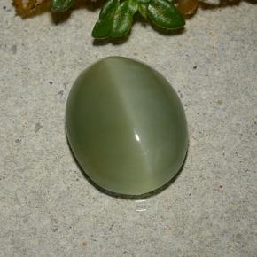 Actinolite cat's eye verde natural 5,33ct, corte oval, translúcido