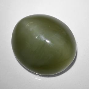 Actinolite cat's eye verde natural 9,44ct, corte oval, translúcido