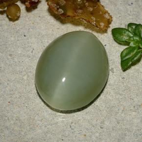 Actinolite cat's eye verde natural 5,92ct, corte oval, translúcido