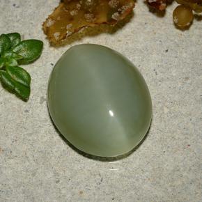 Actinolite cat's eye verde natural 5,92ct, corte oval, translúcido