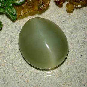 Actinolite cat's eye verde natural 9,08ct, corte oval, translúcido
