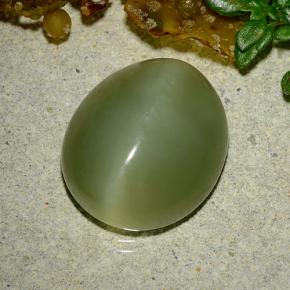 Actinolite cat's eye verde natural 9,08ct, corte oval, translúcido