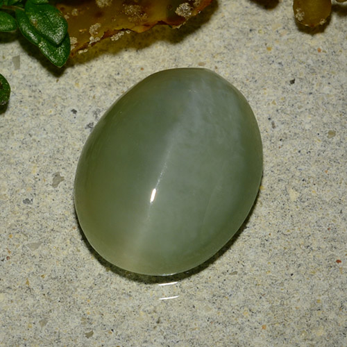Actinolite cat's eye verde natural 4,86ct, corte oval, translúcido