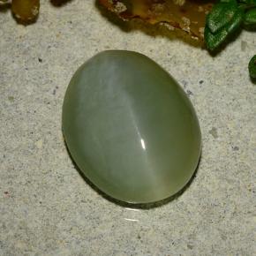Actinolite cat's eye verde natural 4,86ct, corte oval, translúcido