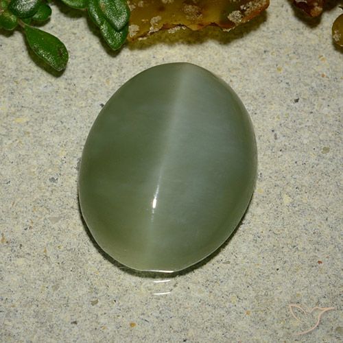 6.48ct Natural Verde médio Olho de gato de actinolita, oval, Translúcido