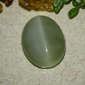 Olho de gato de actinolita Verde médio Natural 6.48ct, oval, Translúcido