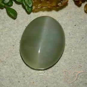 Olho de gato de actinolita Verde médio Natural 6.48ct, oval, Translúcido