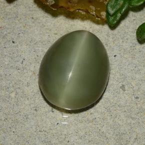 Actinolite cat's eye verde natural 3,59ct, corte oval, translúcido