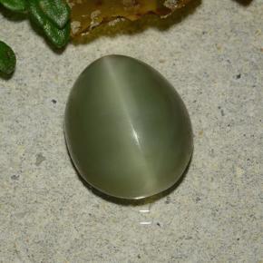 Actinolite cat's eye verde natural 3,59ct, corte oval, translúcido
