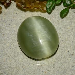 Actinolite cat's eye verde natural 8,75ct, corte oval, translúcido
