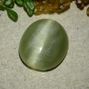 Actinolite cat's eye verde natural 8,75ct, corte oval, translúcido