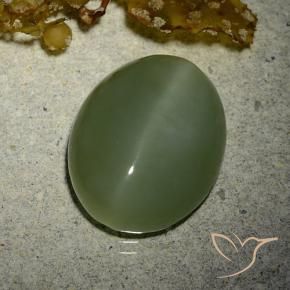 Olho de gato de actinolita Exército verde Natural 7.01ct, oval, Translúcido