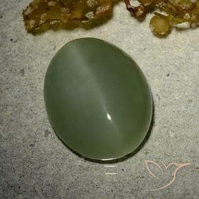 Olho de gato de actinolita Exército verde Natural 7.01ct, oval, Translúcido