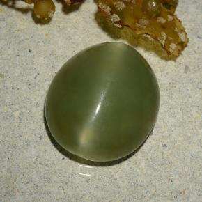 Actinolite cat's eye verde natural 5,70ct, corte oval, translúcido