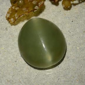 Actinolite cat's eye verde natural 5,70ct, corte oval, translúcido