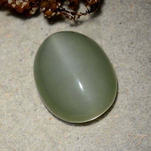 10.66ct Natural Verde médio Olho de gato de actinolita, oval, Translúcido