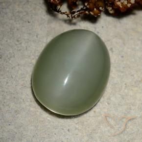 Olho de gato de actinolita Verde médio Natural 10.66ct, oval, Translúcido
