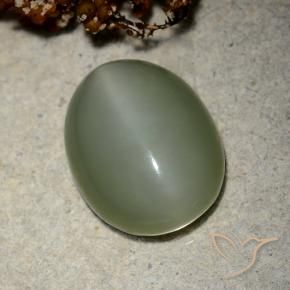 Olho de gato de actinolita Verde médio Natural 10.66ct, oval, Translúcido