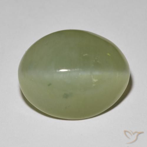 11.42ct Natural Verde acinzentado Olho de gato de actinolita, oval, Translúcido