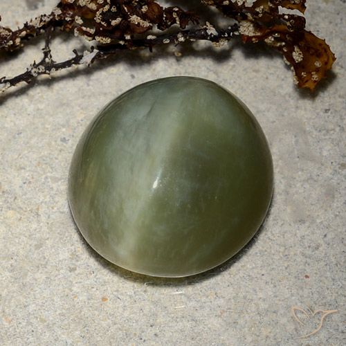 8.89ct Natural Verde escuro Olho de gato de actinolita, oval, Translúcido