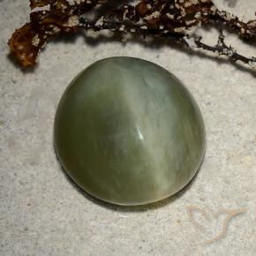 Olho de gato de actinolita Verde escuro Natural 8.89ct, oval, Translúcido