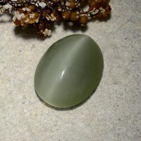 Actinolite cat's eye verde natural 4,81ct, corte oval, translúcido