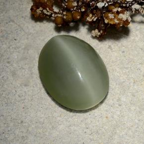 Actinolite cat's eye verde natural 4,81ct, corte oval, translúcido