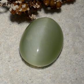 Actinolite cat's eye verde natural 4,46ct, corte oval, translúcido