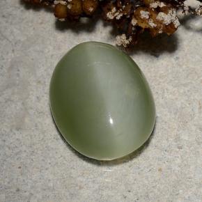 Actinolite cat's eye verde natural 4,46ct, corte oval, translúcido