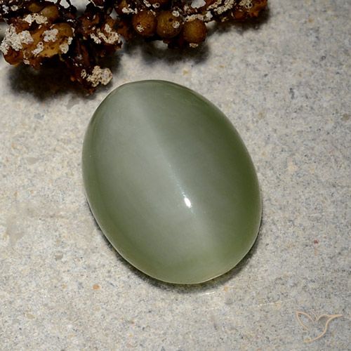5.19ct Natural Verde Dourado Olho de gato de actinolita, oval, Translúcido