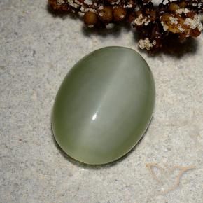 Olho de gato de actinolita Verde Dourado Natural 5.19ct, oval, Translúcido