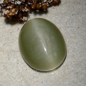 Actinolite cat's eye verde natural 9,06ct, corte oval, translúcido