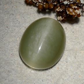 Actinolite cat's eye verde natural 9,06ct, corte oval, translúcido