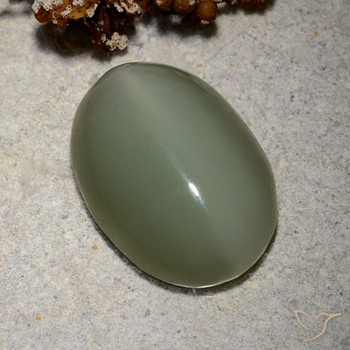 8.62ct Natural Verde médio Olho de gato de actinolita, oval, Translúcido