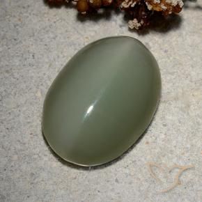 Olho de gato de actinolita Verde médio Natural 8.62ct, oval, Translúcido