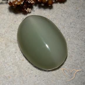 Olho de gato de actinolita Verde médio Natural 8.62ct, oval, Translúcido