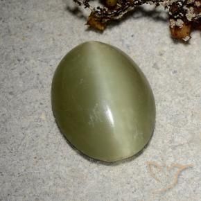 Actinolite cat's eye verde natural 5,10ct, corte oval, translúcido