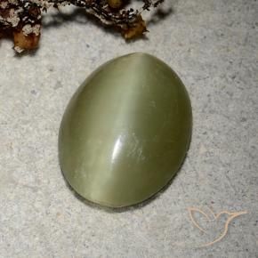 Actinolite cat's eye verde natural 5,10ct, corte oval, translúcido