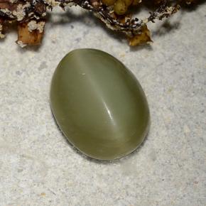 Actinolite cat's eye verde natural 2,78ct, corte oval, translúcido