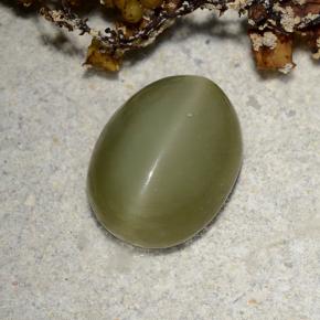 Actinolite cat's eye verde natural 2,78ct, corte oval, translúcido