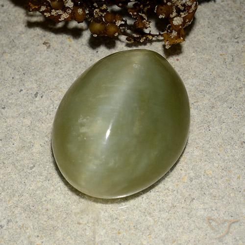 10.95ct Natural Verde Terroso Olho de gato de actinolita, oval, Translúcido