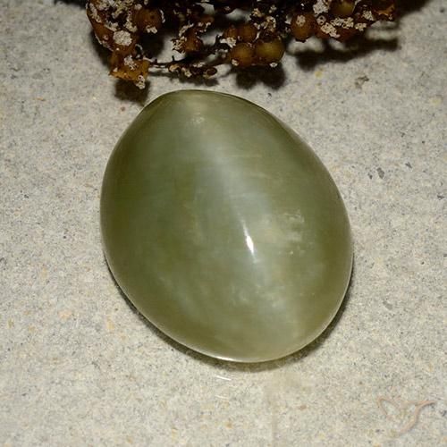 Olho de gato de actinolita Verde Terroso Natural 10.95ct, oval, Translúcido