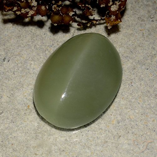6.03ct Natural Exército verde Olho de gato de actinolita, oval, Translúcido