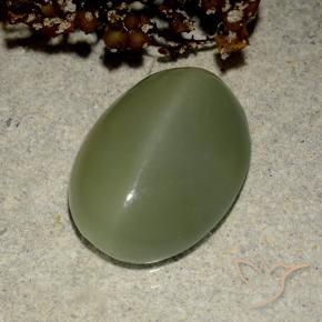 Olho de gato de actinolita Exército verde Natural 6.03ct, oval, Translúcido