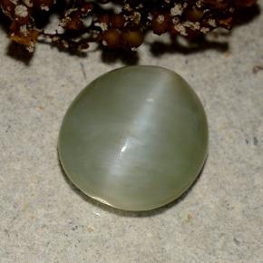 Actinolite cat's eye verde natural 4,15ct, corte oval, translúcido