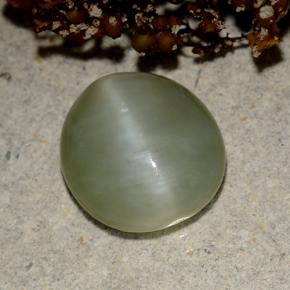 Actinolite cat's eye verde natural 4,15ct, corte oval, translúcido