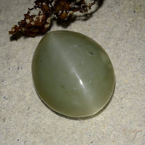 11.07ct Natural Verde médio Olho de gato de actinolita, oval, Translúcido