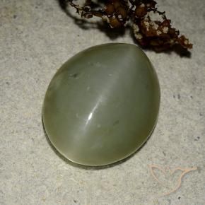 Olho de gato de actinolita Verde médio Natural 11.07ct, oval, Translúcido