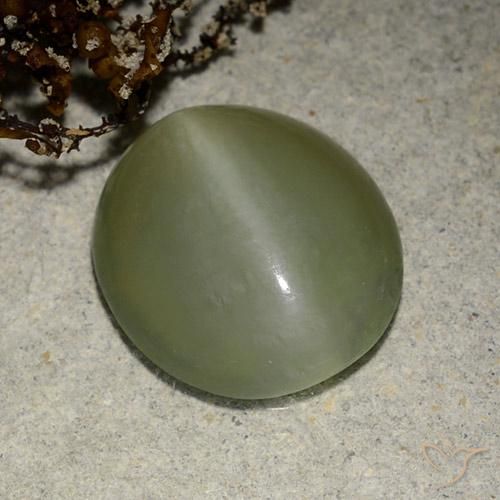 5.41ct Natural Verde médio Olho de gato de actinolita, oval, Translúcido
